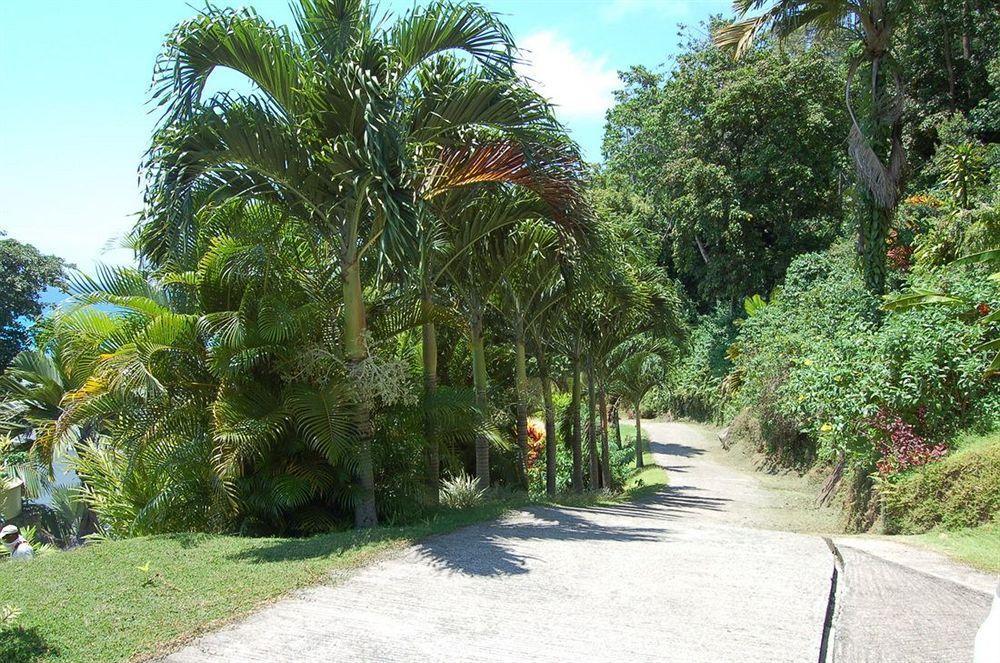 Sailfish Beach Villas Anse a La Mouche Exterior photo