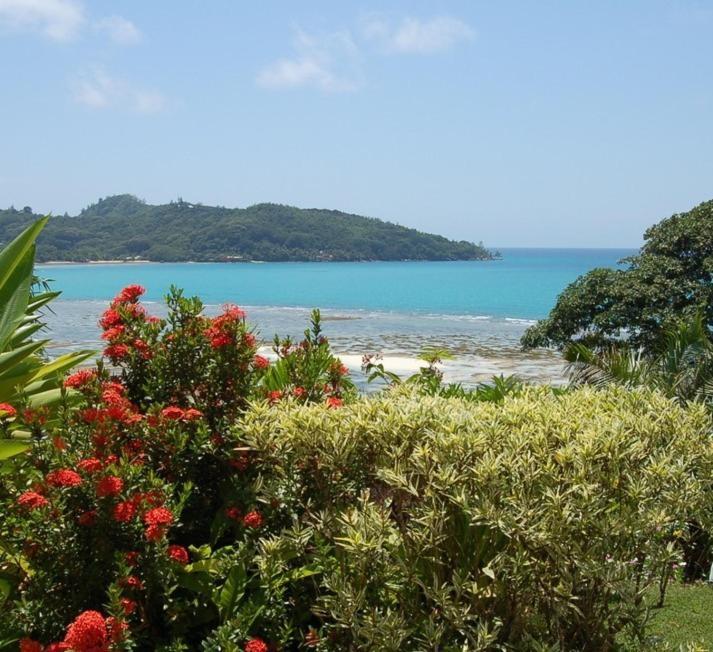 Sailfish Beach Villas Anse a La Mouche Exterior photo